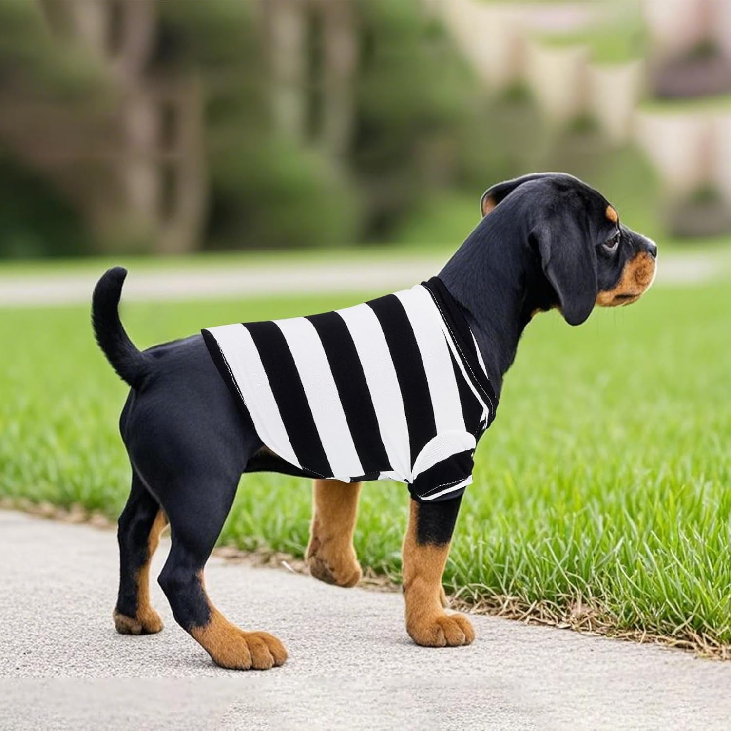 Dog Shirt Polo Shirt Striped Collar Puppy Clothes Summer Button up Pet Clothes for Small Medium Dogs Cats for Boy Girl Pets